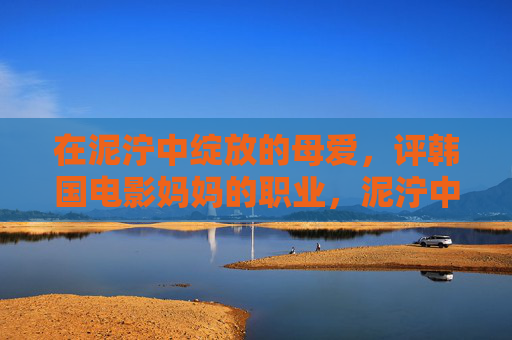 在泥泞中绽放的母爱,评韩国电影妈妈的职业,泥泞中绽放的母爱,妈妈的职业