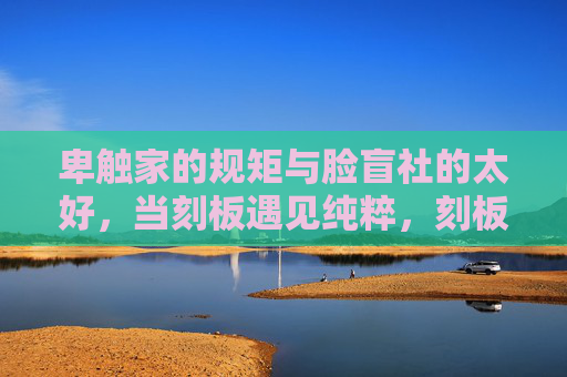 卑触家的规矩与脸盲社的太好，当刻板遇见纯粹，刻板规矩撞上纯粹真心