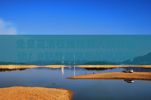 免费高清在线观看人数在哪动?B站数据背后的秘密与查看指南,B站观看人数在哪看?数据秘密与查看指南