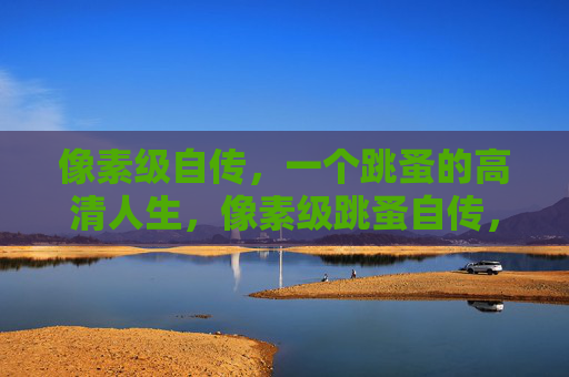 像素级自传,一个跳蚤的高清人生,像素级跳蚤自传,高清人生