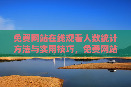免费网站在线观看人数统计方法与实用技巧，免费网站在线观看人数统计，实用方法与技巧