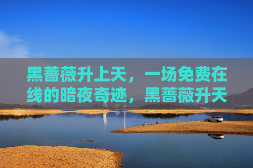 黑蔷薇升上天,一场免费在线的暗夜奇迹,黑蔷薇升天,暗夜免费在线奇迹