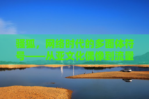 骚狐,网络时代的多面体符号——从亚文化偶像到流量密码,骚狐,网络时代多面体符号——从亚文化偶像到流量密码