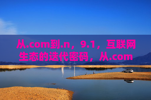 从.com到.n，9.1，互联网生态的迭代密码，从.com到.n，9.1，互联网生态的迭代密码