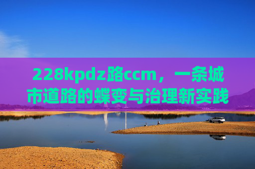 228kpdz路ccm，一条城市道路的蝶变与治理新实践，228kpdz路ccm蝶变，城市道路治理新实践