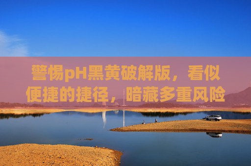 警惕pH黑黄破解版,看似便捷的捷径,暗藏多重风险,pH黑黄破解版,便捷捷径暗藏多重风险