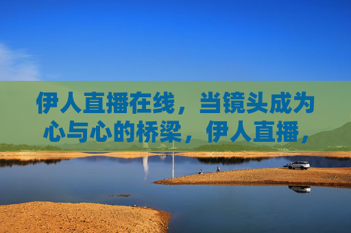 伊人直播在线,当镜头成为心与心的桥梁,伊人直播,镜头架起心桥