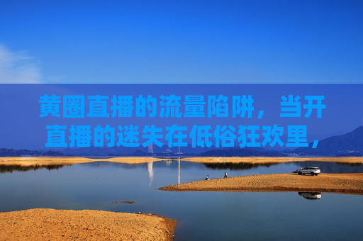 黄圈直播的流量陷阱,当开直播的迷失在低俗狂欢里,黄圈直播,流量陷阱里的低俗迷失