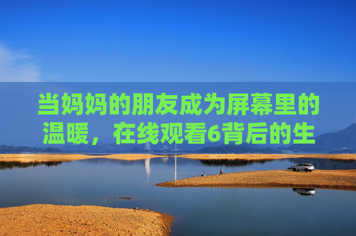 当妈妈的朋友成为屏幕里的温暖，在线观看6背后的生活与共鸣，屏幕里的妈妈朋友，温暖生活共鸣
