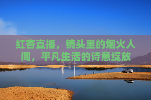 红杏直播,镜头里的烟火人间,平凡生活的诗意绽放