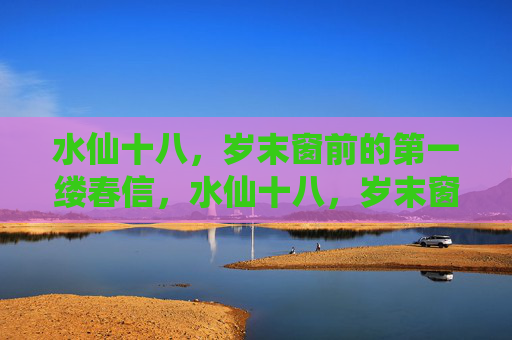 水仙十八,岁末窗前的第一缕春信,水仙十八,岁末窗前的第一缕春信
