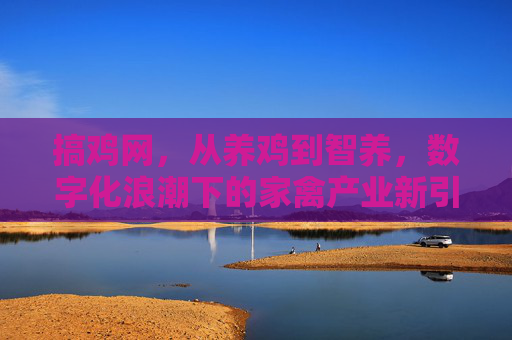 搞鸡网,从养鸡到智养,数字化浪潮下的家禽产业新引擎,搞鸡网,数字化浪潮下家禽产业从养鸡到智养的新引擎
