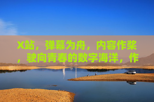 X站,弹幕为舟,内容作桨,驶向青春的数字海洋,作桨,驶向青春的数字海洋