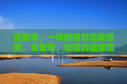 含羞草,一场触碰的温柔回响,含羞草,触碰的温柔回响