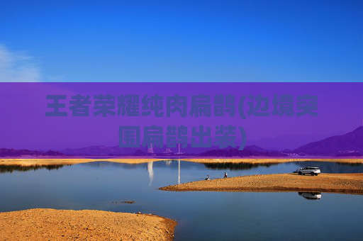 王者荣耀纯肉扁鹊(边境突围扁鹊出装)