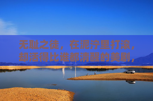 无耻之徒,在泥泞里打滚,却活得比谁都清醒的美剧,无耻之徒,泥泞打滚中的清醒人生