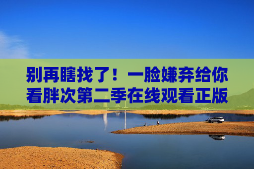 别再瞎找了!一脸嫌弃给你看胖次第二季在线观看正版指南,免费也能看!胖次第二季免费正版观看指南
