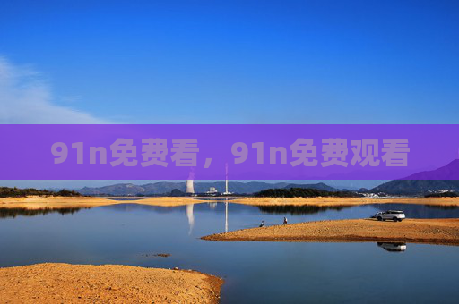 91n免费看,91n免费观看