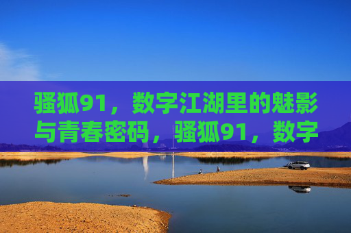 骚狐91,数字江湖里的魅影与青春密码,骚狐91,数字江湖的魅影青春密码