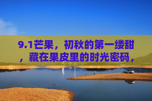 9.1芒果,初秋的第一缕甜,藏在果皮里的时光密码,初秋芒果,果皮里的时光甜密码