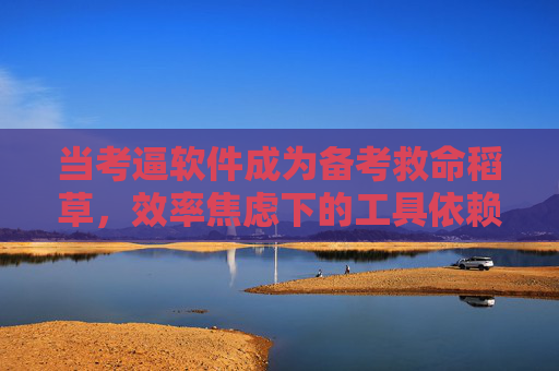 当考逼软件成为备考救命稻草,效率焦虑下的工具依赖与理性突围,考逼软件,备考焦虑下的工具依赖与理性突围