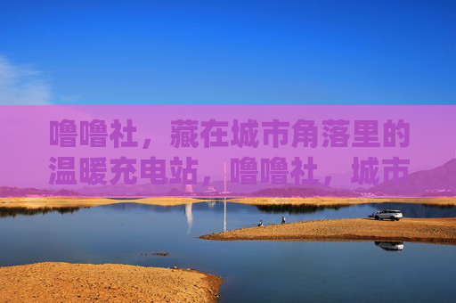 噜噜社，藏在城市角落里的温暖充电站，噜噜社，城市角落的温暖充电站