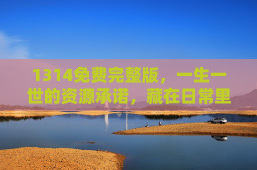 1314免费完整版,一生一世的资源承诺,藏在日常里的不花钱哲学,1314免费一生一世,日常里的不花钱哲学