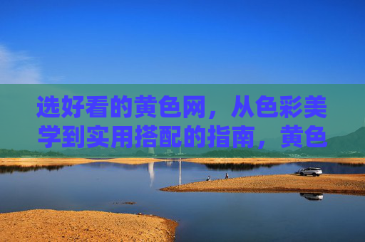 选好看的黄色网，从色彩美学到实用搭配的指南，黄色网，从色彩美学到实用搭配的选色指南