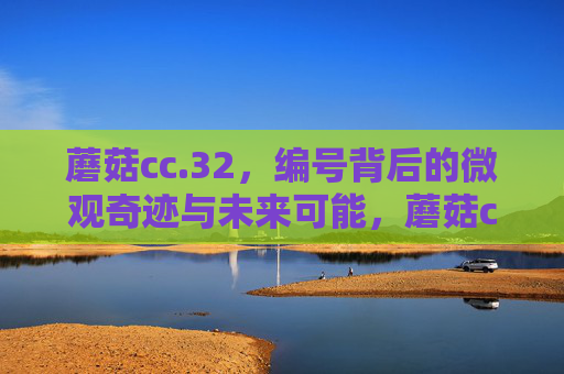蘑菇cc.32,编号背后的微观奇迹与未来可能,蘑菇cc.32,编号背后的微观奇迹与未来可能