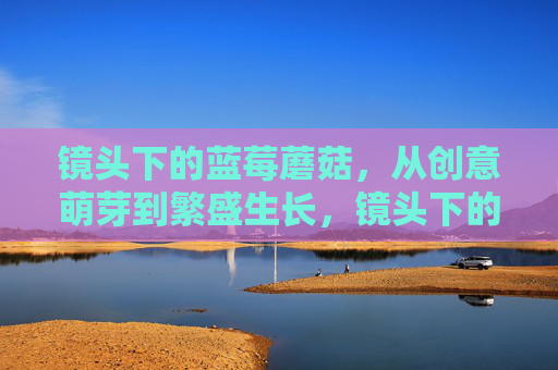 镜头下的蓝莓蘑菇,从创意萌芽到繁盛生长,镜头下的蓝莓蘑菇,创意萌芽到繁盛生长