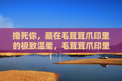 撸死你,藏在毛茸茸爪印里的极致温柔,毛茸茸爪印里的极致温柔,撸你入怀