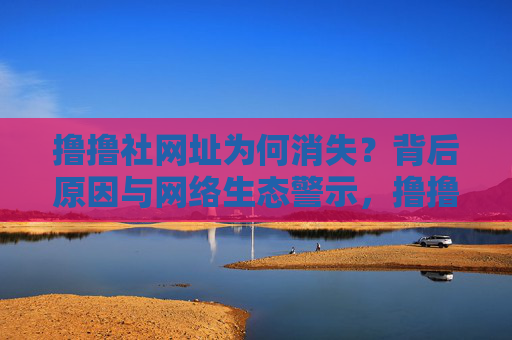 撸撸社网址为何消失?背后原因与网络生态警示,撸撸社网址消失,背后原因与网络生态警示