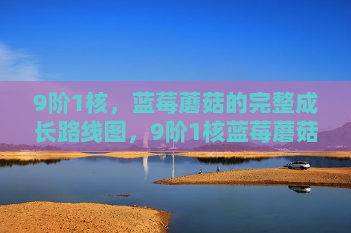 9阶1核,蓝莓蘑菇的完整成长路线图,9阶1核蓝莓蘑菇完整成长路线图