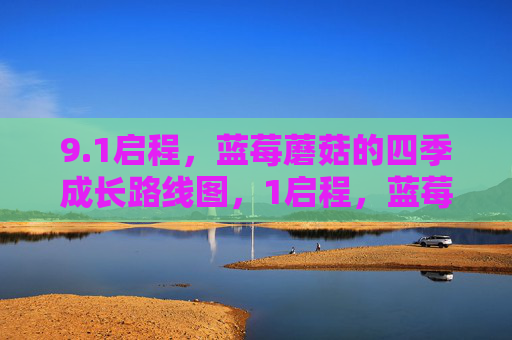 9.1启程,蓝莓蘑菇的四季成长路线图,1启程,蓝莓蘑菇的四季成长路线图