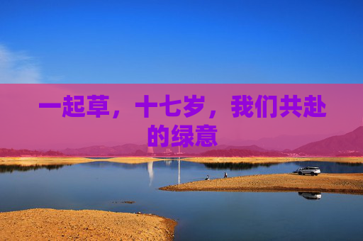 一起草,十七岁,我们共赴的绿意