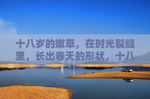 十八岁的嫩草，在时光裂缝里，长出春天的形状，十八岁嫩草，时光裂缝里的春形