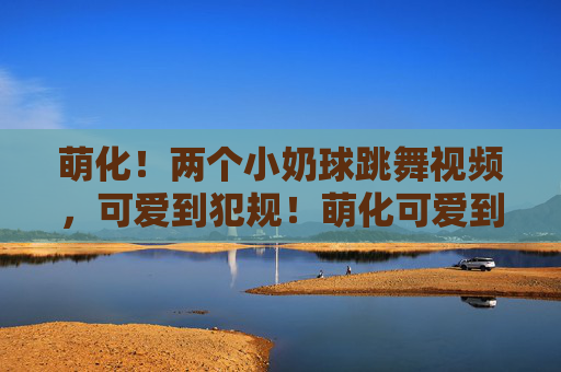 萌化！两个小奶球跳舞视频，可爱到犯规！萌化可爱到犯规！两个小奶球跳舞