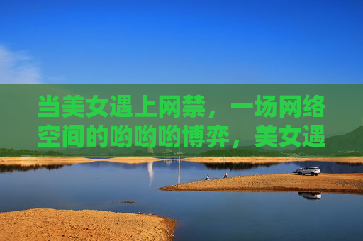 当美女遇上网禁,一场网络空间的哟哟哟博弈,美女遇网禁,网络空间的博弈