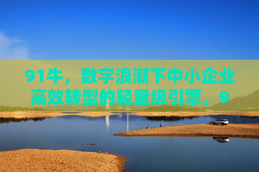 91牛，数字浪潮下中小企业高效转型的轻量级引擎，91牛，数字浪潮下中小企业高效转型的轻量级引擎