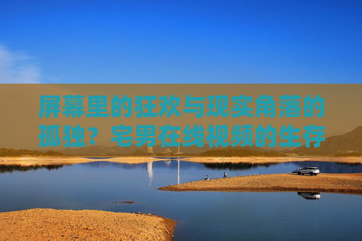 屏幕里的狂欢与现实角落的孤独?宅男在线视频的生存图鉴,屏幕狂欢与孤独,宅男在线视频生存图鉴