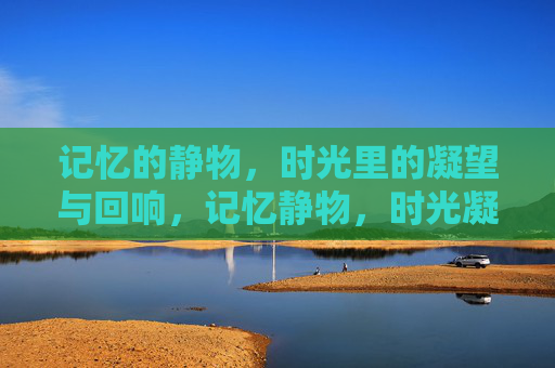 记忆的静物,时光里的凝望与回响,记忆静物,时光凝望回响