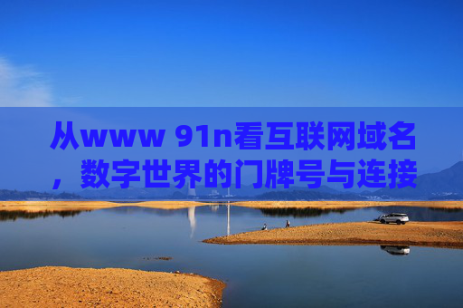从www 91n看互联网域名,数字世界的门牌号与连接的意义,数字世界的门牌号,域名的连接意义