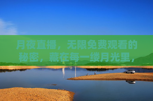 月夜直播,无限免费观看的秘密,藏在每一缕月光里,月夜直播,无限免费的秘密,藏在月光里