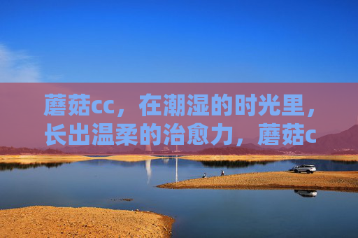 蘑菇cc,在潮湿的时光里,长出温柔的治愈力,蘑菇cc,潮湿时光长出的温柔治愈