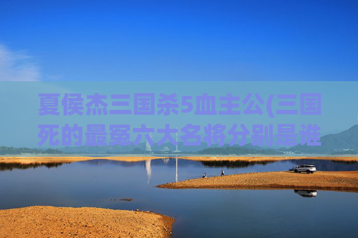 夏侯杰三国杀5血主公(三国死的最冤六大名将分别是谁)