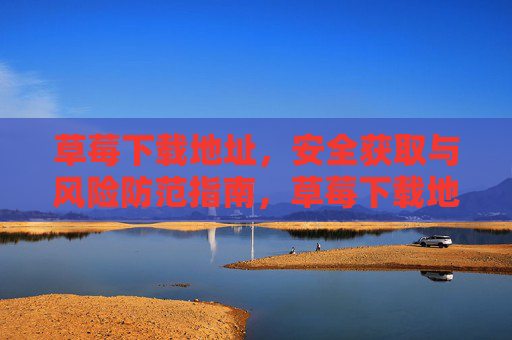 草莓下载地址,安全获取与风险防范指南,草莓下载地址安全获取与风险防范指南