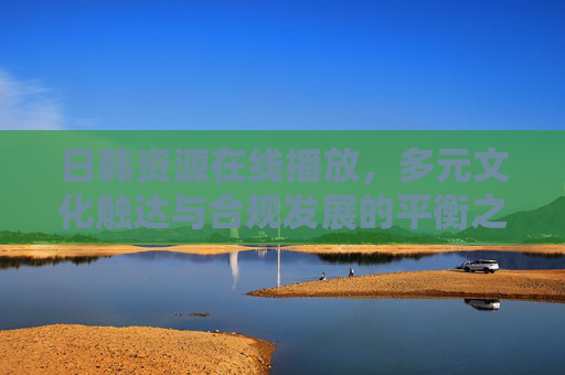 日韩资源在线播放，多元文化触达与合规发展的平衡之道，日韩资源在线播放，多元文化触达与合规发展的平衡之道
