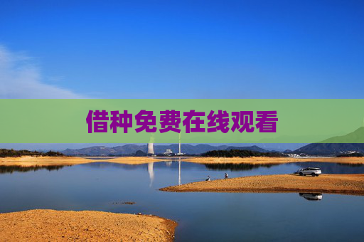 借种免费在线观看