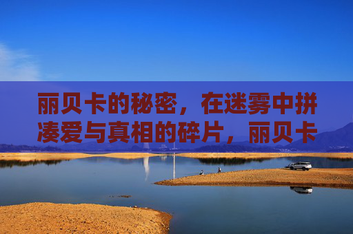 丽贝卡的秘密,在迷雾中拼凑爱与真相的碎片,丽贝卡的秘密,迷雾中的爱与真相拼图