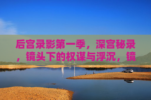 后宫录影第一季,深宫秘录,镜头下的权谋与浮沉,镜头深宫,权谋浮沉